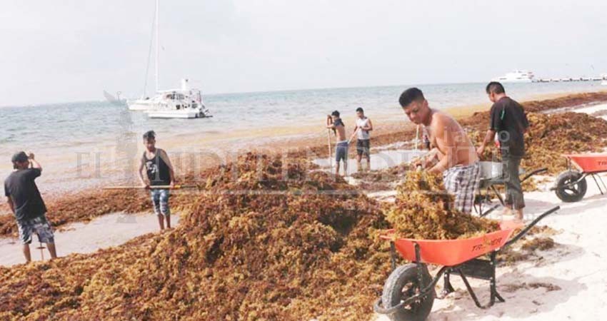 Semar encabezará estrategia contra el sargazo