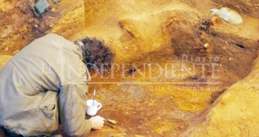 Abren tumba del Tutankamón británico y esto descubrieron