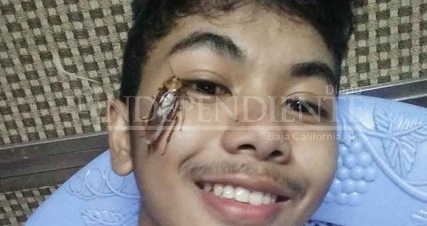 Llega el #CockroachChallenge, selfies con cucarachas