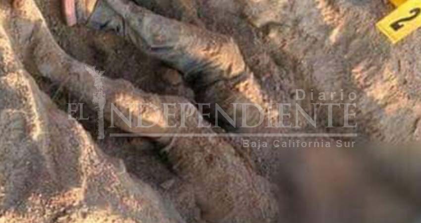 Derivado de una investigación, PGJE localizó restos humanos al norte de BCS