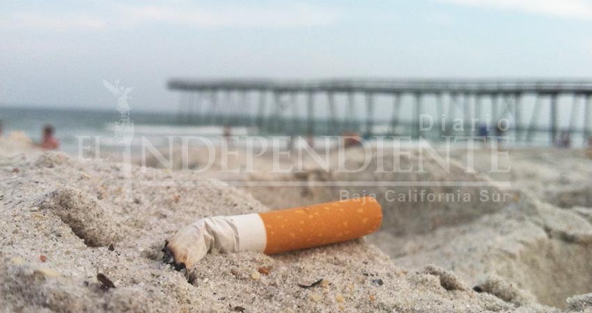 Requiere BCS campañas para no usar playa como ceniceros: Especialistas