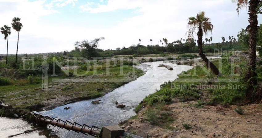 Hasta las últimas consecuencias; abre FGR carpeta de investigación por el Estero de SJC