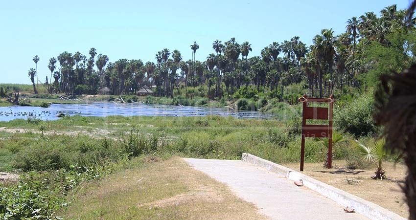 Aprueba Cabildo conformación de Comité para la Conservación del Estero: participarán los tres órdenes de gobierno