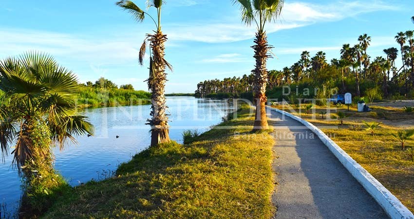 El Estero de SJC es un elemento natural que posiciona al destino: Fiturca