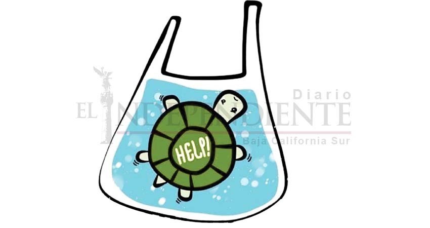 Activistas piden a congreso preparar aplicación de Ley de Desaplastificación