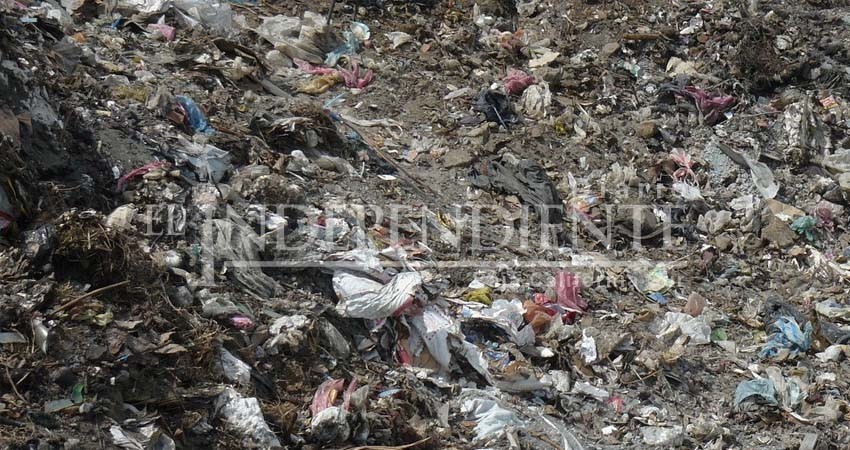 Doce empresas compiten por convertir la basura de La Paz en energía