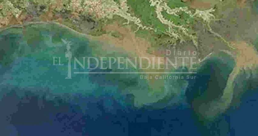 'Zona muerta' del Golfo de México, casi del tamaño de Hidalgo