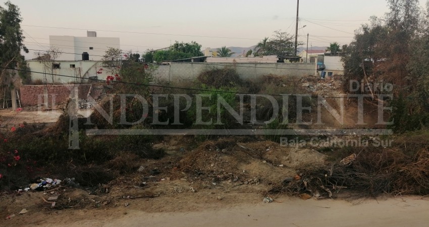 Denuncian intento de invasión de predio en la colonia Santa Rosa