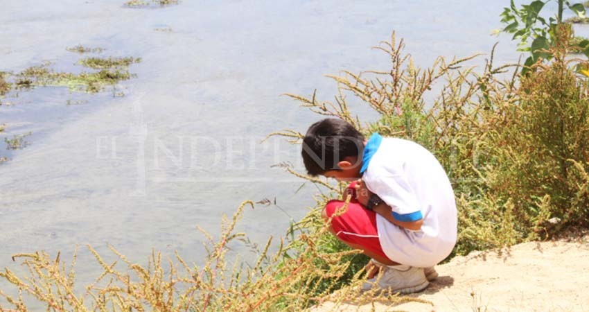 Presión social llevó a reaccionar a autoridades y Grupo Questro sobre el Estero, SOS