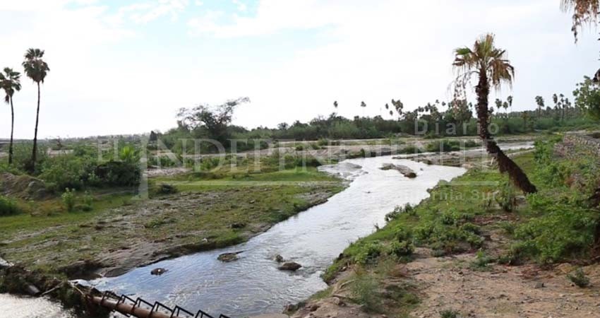 Fideicomiso del rescate del estero podría ser una farsa acusan activistas