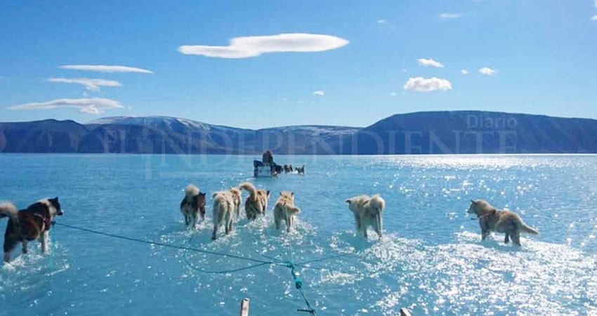 La foto de Groenlandia que indica que algo anda mal