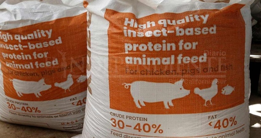 Reciclan excremento humano para hacer comida para animales