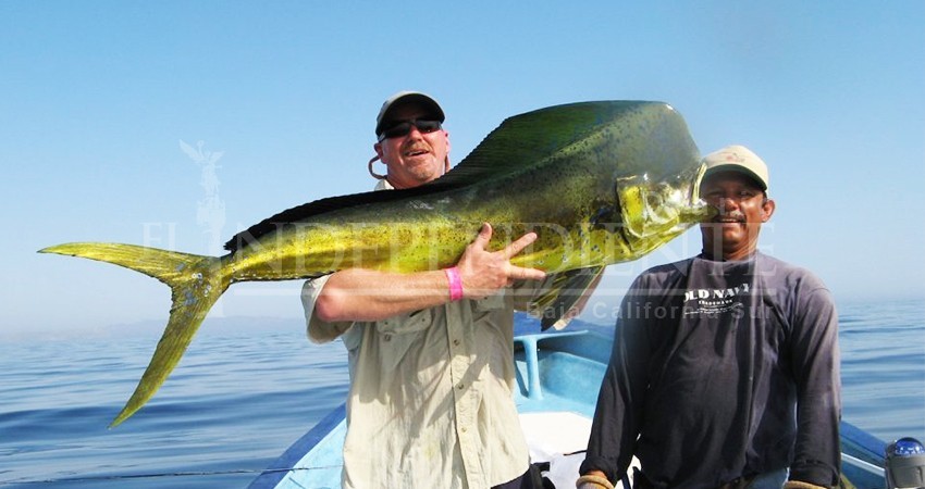 Promoveremos pesca deportiva sustentable en La Paz: Turismo