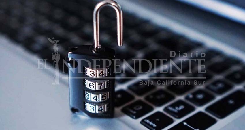 Robo hormiga puede combatirse con tecnología: Seguritech