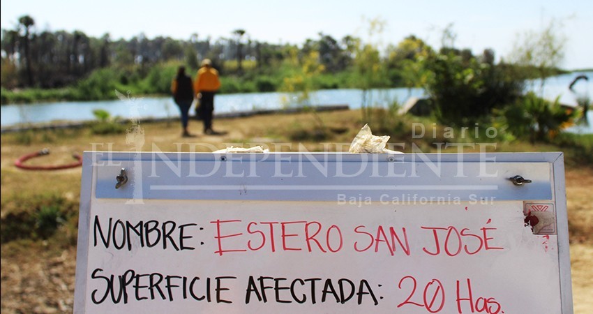 Regidores explican su postura por votar en contra de la urgente rescate del Estero