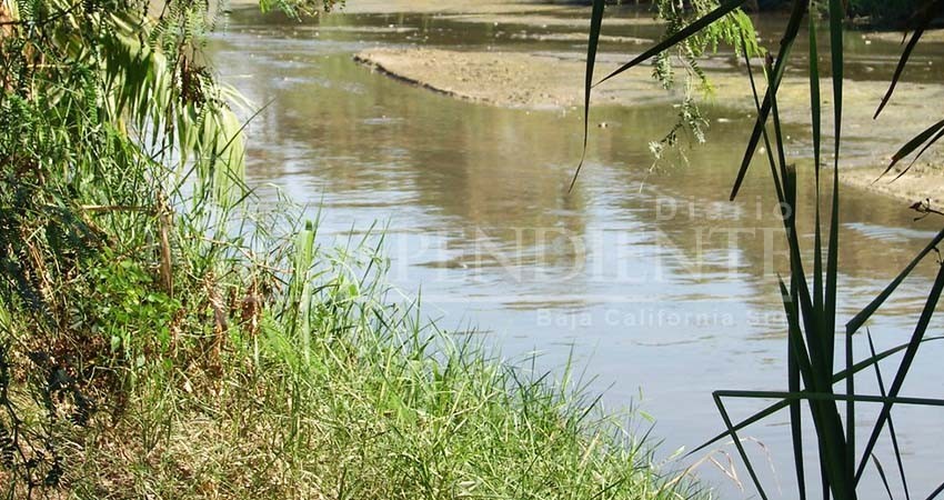 Mañana conformarán y sesionará Consejo Asesor del Estero de SJC