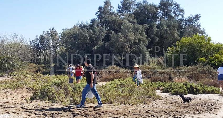 Limpieza de “Mar Libre” en mangles de La Paz, recolectó 1.2 toneladas de basura