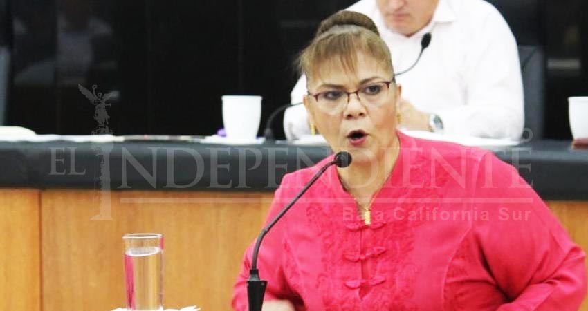 Voy por una iniciativa que no lastime a nadie: Elizabeth Rocha