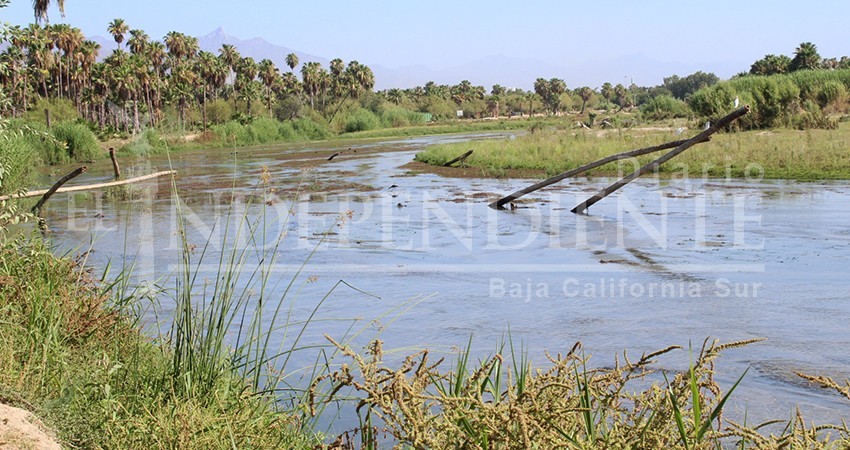 CIBNOR y Conagua entregaron estudios sobre el Estero de SJC al XIII Ayto. de Los Cabos
