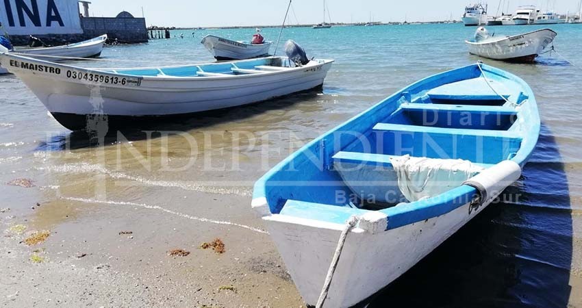Pescadores de BCS con dificultades para obtener permisos de CONAPESCA