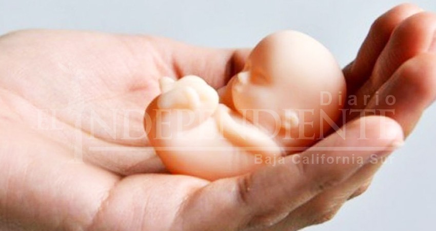 Congreso BCS trabajará en despenalización del aborto en próximo periodo: Dip. Cordero