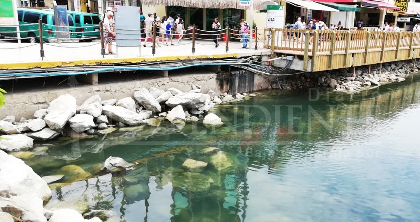 Aguas negras dañan espejo de agua de la Marina de CSL
