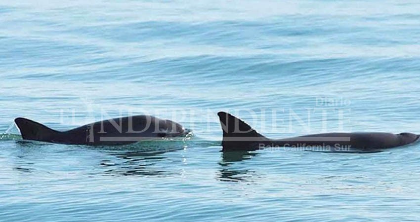 Listado de la Unesco suma mil 121 sitios patrimoniales