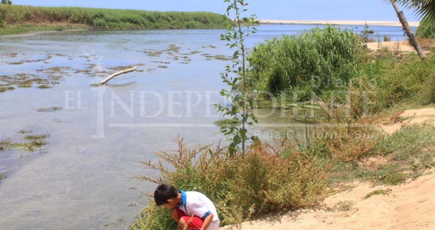 Conmina regidora Rodríguez a sus homólogos, a hacer justicia en tema del Estero