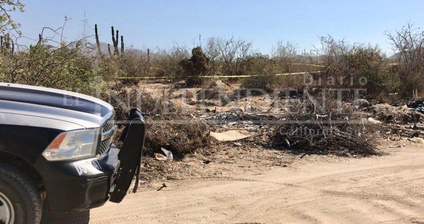 Localizan un cuerpo sin vida en descomposición en  CSL