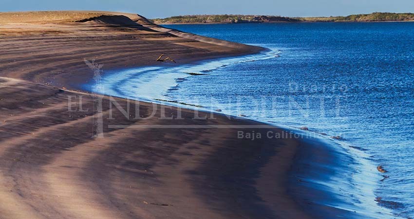 Playas de BCS sin afectación por derrame tóxico en Mar de Cortés: Coepris