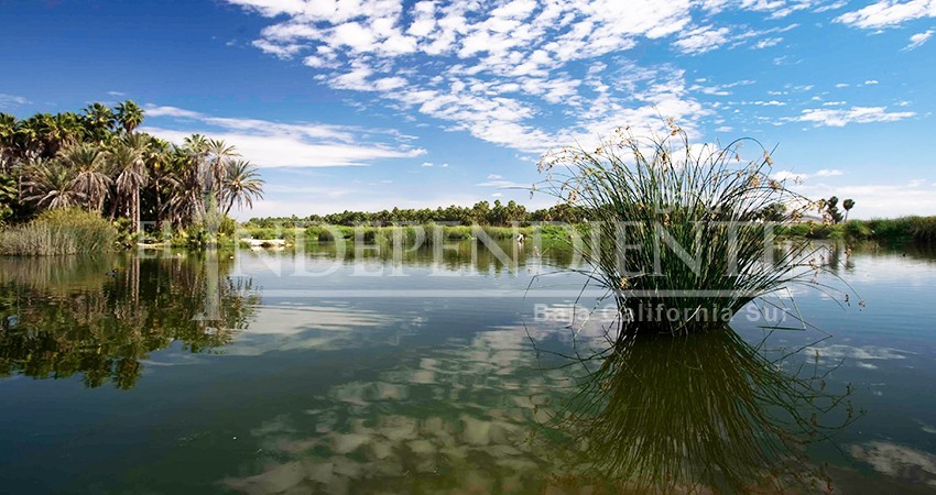 Omite catastro informar sobre claves de vecinos colindantes del Estero