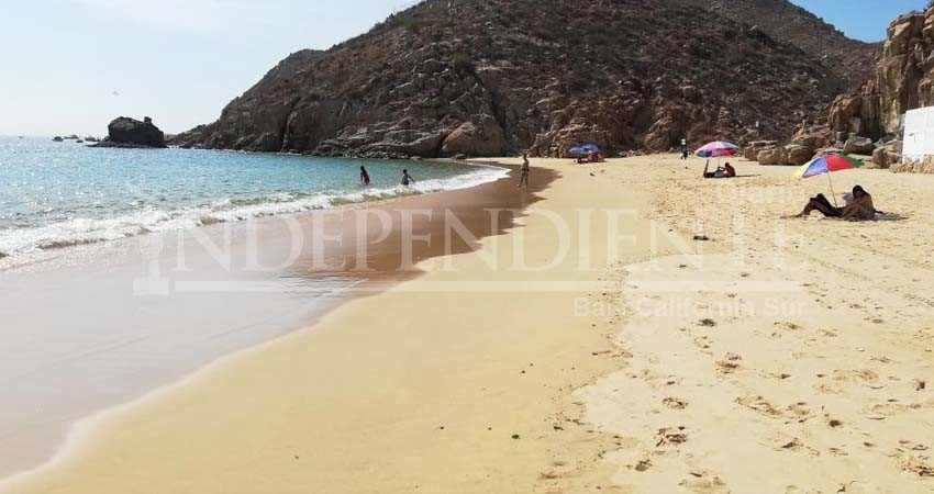 Medusas en playas de CSL