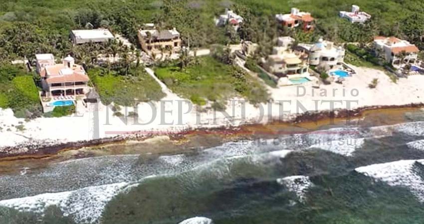 Marina retira 38 mil 892 toneladas de sargazo en casi 3 meses