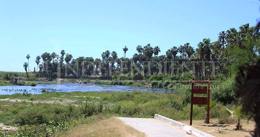 Proyecta SP instalación de cámaras térmicas en el estero para su vigilancia tecnológica