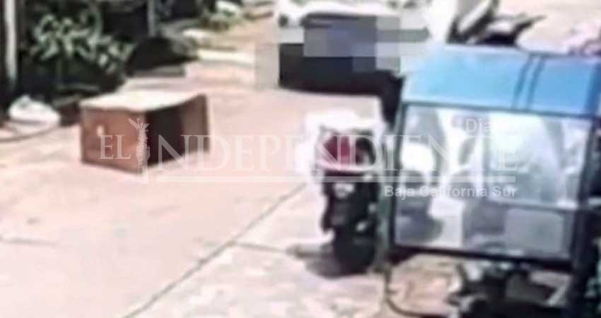 Camioneta atropella a niña que se escondía en caja de cartón