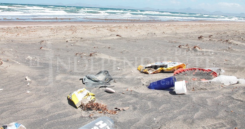 ONU dará seguimiento a compromisos estatales y municipales para desplastificación