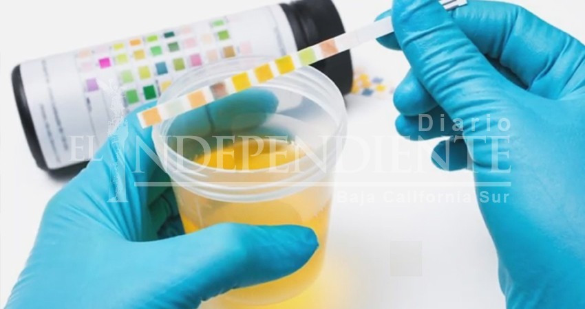 Al antidoping los 21 legisladores del Congreso de BCS