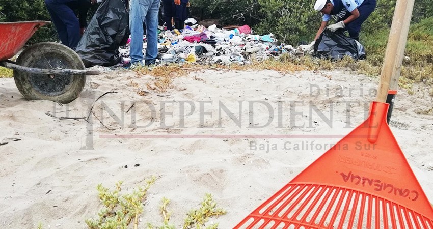 Denunciará ZOFEMAT a PROFEPA por negligencia ambiental en manglares