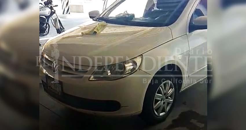 Que dejen la tibieza y ordenen el transporte público, exige a autoridades Almusutra