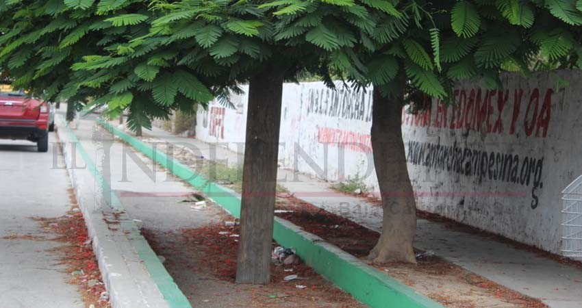 Ultimátum a negocios que obstruyen la ciclovía del Boulevard Forjadores en La Paz