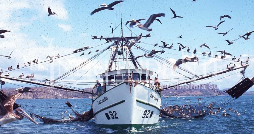 ¡Pongan un alto a la pesca furtiva en Cabo del Este!