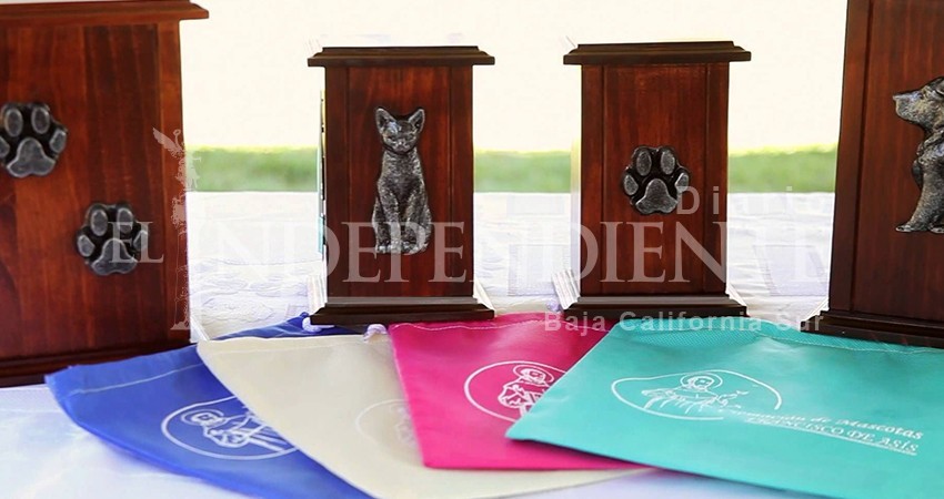 Ayto. de La Paz podría sumar un incinerador al proyecto “Panteón para Mascotas”