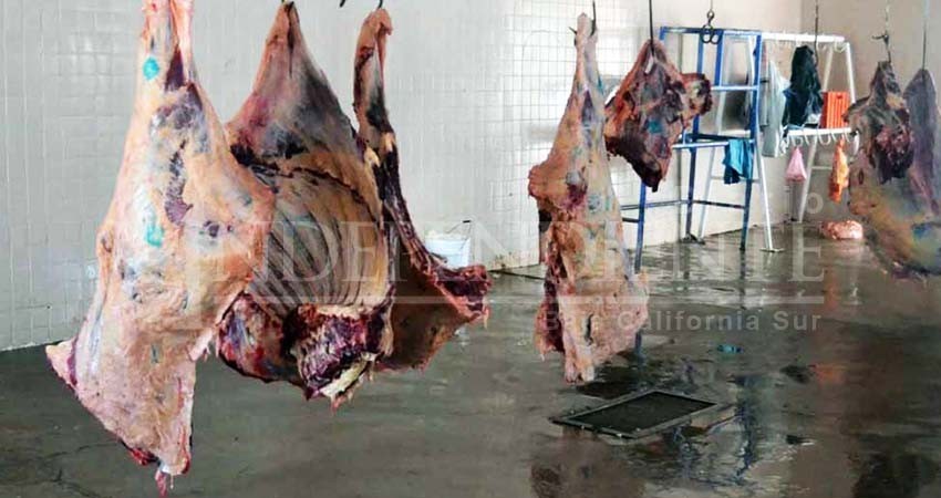 Recomienda Unión Ganadera reubicar rastro municipal La Paz