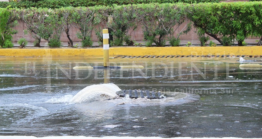 Suspender salidas a la playa y evitar comer en puestos ambulantes de Los Cabos, pide Coepris