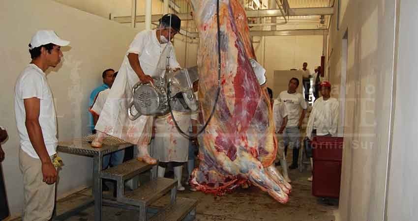 Reingeniería del rastro municipal evitará impacto ambiental: Muñoz Álvarez