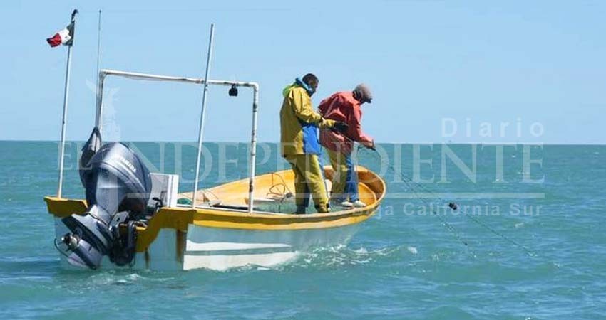 Preocupa a SEPADA el tema de vigilancia pesquera; federación olvida a BCS