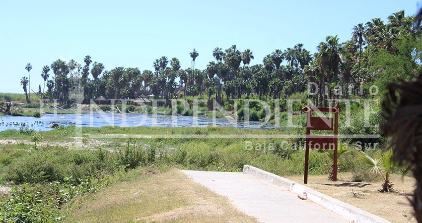 El estero se debe proteger y respetar, sin que sea politizado: Tony Agúndez