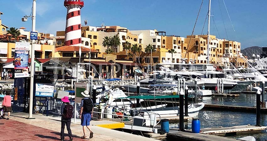 Marina de CSL de las más exitosas del país pero debe modernizarse, asegura Fonatur