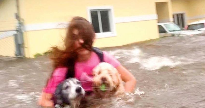 'Dorian' deja 61 mil afectados; ya es categoría 2