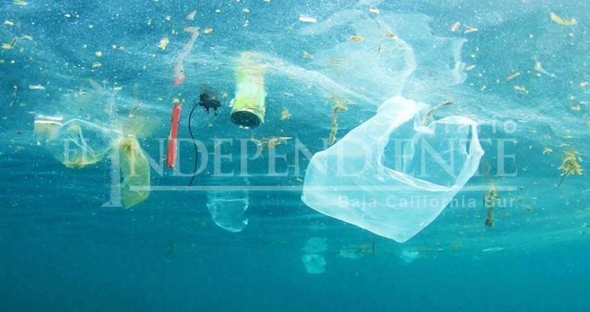 Un retroceso “pausar” Ley Anti-plástico sin tener un mes en vigor: “Desplastifícate”